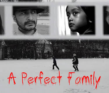 A Perfect Family (2017)