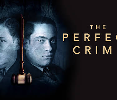 The Perfect Crime (2016)