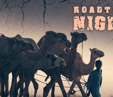 Roadtrip: Niger (2017)
