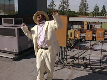 Jasper Dolphin