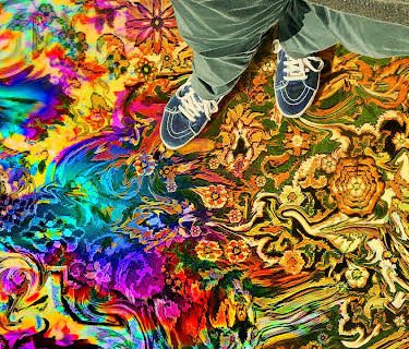 Have a Good Trip: Adventures in Psychedelics (2020)