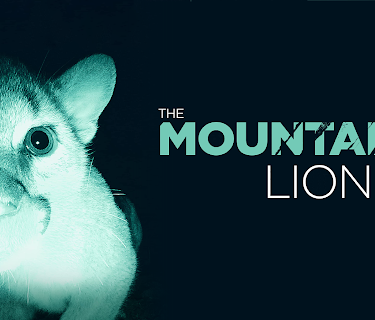 The Mountain Lion and Me (2018)