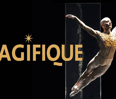 Magifique (2012)