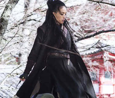 The Assassin (2015)