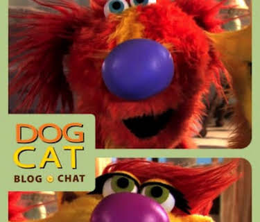 Dog Cat Blog Chat