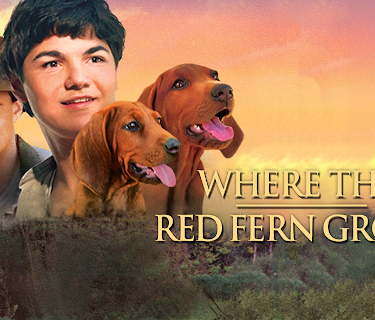 Where the Red Fern Grows (2003)