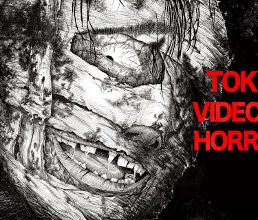 Tokyo Videos of Horror 5 (2012)