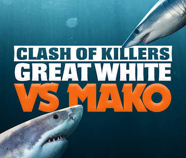 Clash of Killers: Great White vs Mako