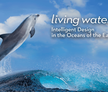 Living Waters: Intelligent Design in the Oceans of the Earth (2015)