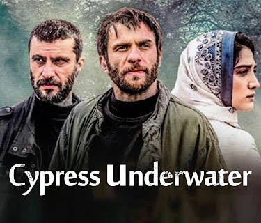 Cypress Under Water (2018)