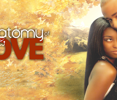 Anatomy Of Love (2010)
