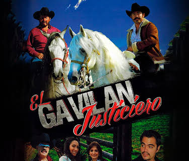 El gavilán justiciero (2013)