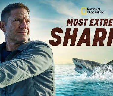 Most Extreme Sharks