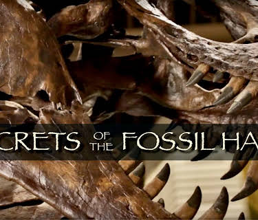Secrets of the Fossil Hall (2014)