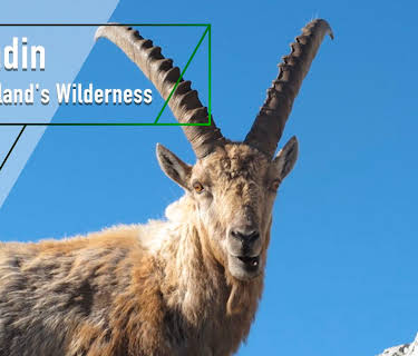 Engadin - Switzerland's Wilderness (2014)