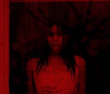 Secrets in the Walls (2010)