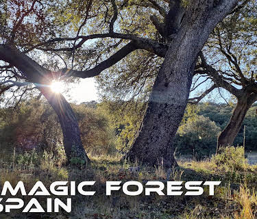 The Magic Forest of Spain (2019)