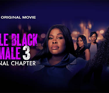 Single Black Female 3: The Final Chapter (2025)