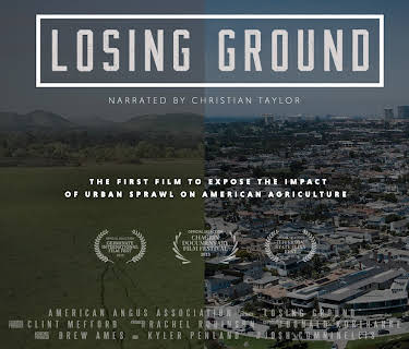 Losing Ground (2019)