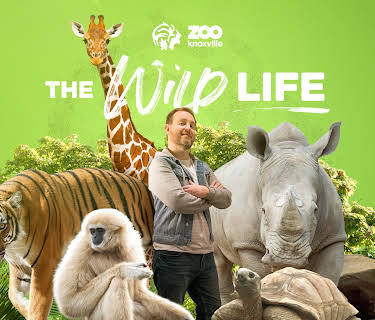 The Wild Life