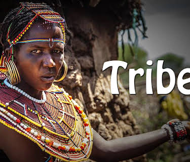 Tribes