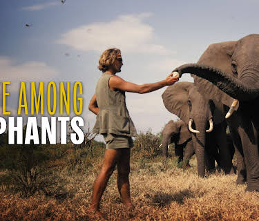 A Life Among Elephants (2025)