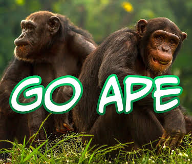 Go Ape (2017)