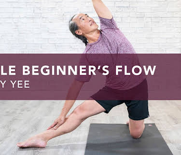 Gentle Beginner's Flow