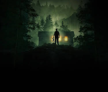Stranger in the Woods (2024)