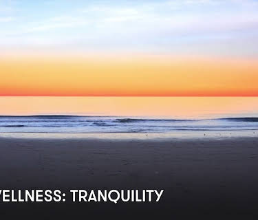 Zen Wellness: Tranquility (2023)