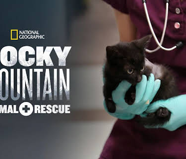 Rocky Mountain Animal Rescue