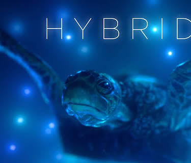 Hybrids (2019)