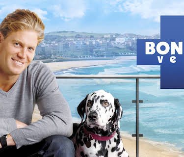 Bondi Vet