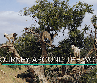A 30-Minute Journey Around the World
