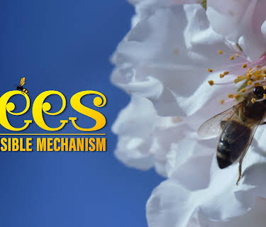 BEES THE INVISIBLE MECHANISM (2025)