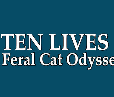 Ten Lives: A Feral Cat Odyssey (2014)