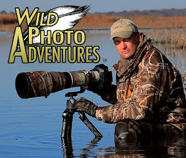 Wild Photo Adventures