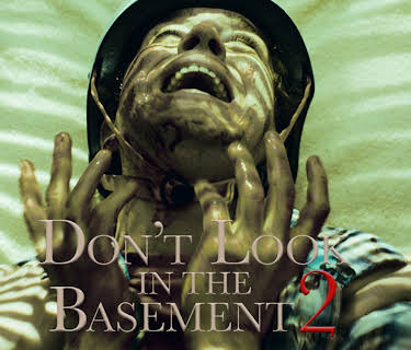 Don't Look in the Basement 2 (2016)