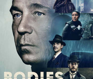 Bodies