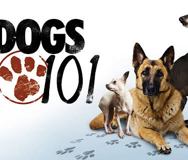 Dogs 101 Season 1