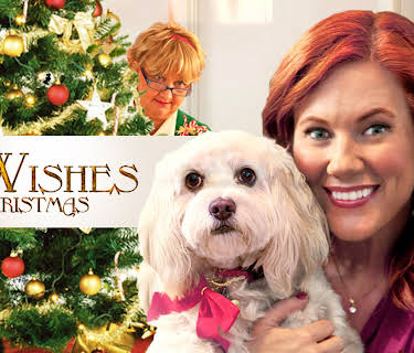 12 Wishes of Christmas (2011)