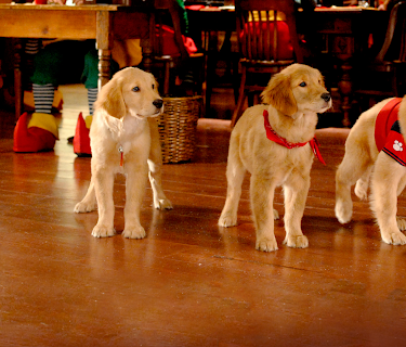 Santa Buddies: The Legend of Santa Paws (2009)
