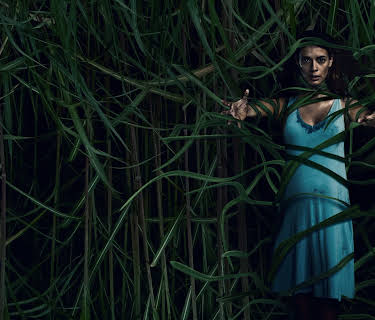 In the Tall Grass (2019)