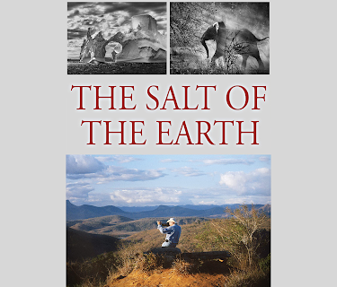 The Salt of the Earth (2015)
