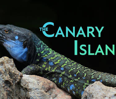 The Canary Islands - In the shadows of volcanoes (2014)