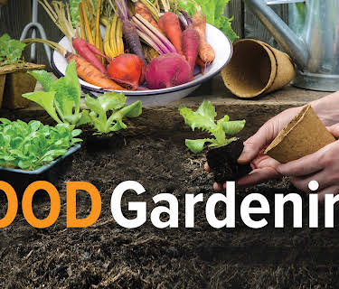 How to Grow Anything: Food Gardening for Everyone