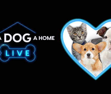 Give a Dog a Home Live!
