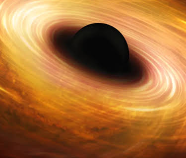 Black Holes, Tides, and Curved Spacetime: Understanding Gravity