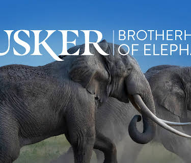 Tusker: Brotherhood of Elephants (2026)