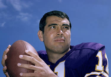 Joe Kapp